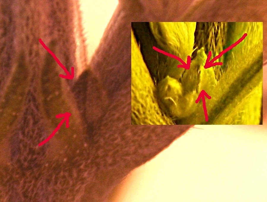post-11175-0-21612700-1341589280_thumb.jpg