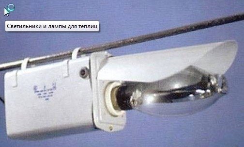 post-12087-0-81683300-1342588939_thumb.jpg