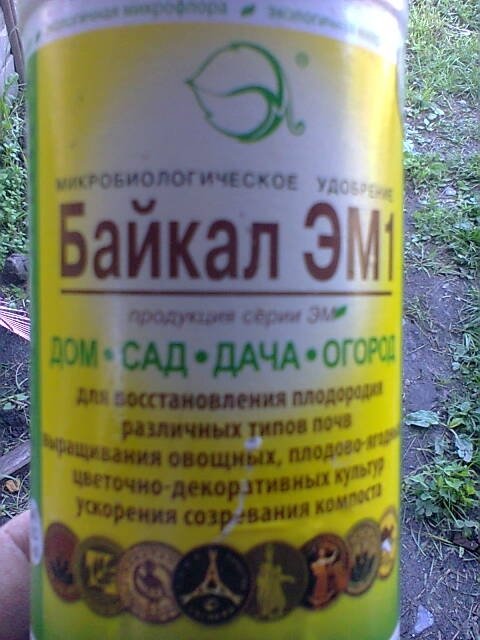 post-16006-0-45270400-1373457617_thumb.jpg