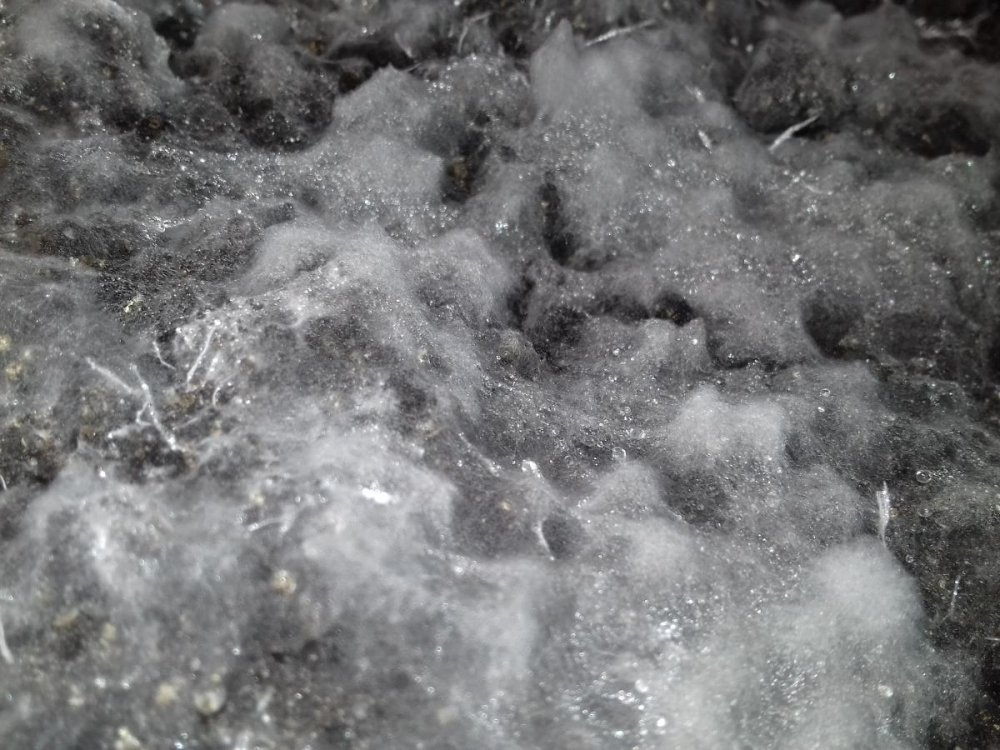 post-35709-0-55767300-1468486486_thumb.jpg