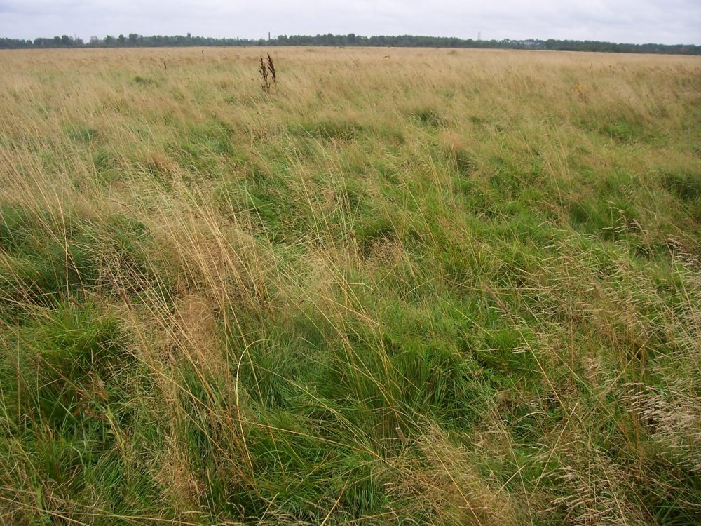 100_2514.JPG