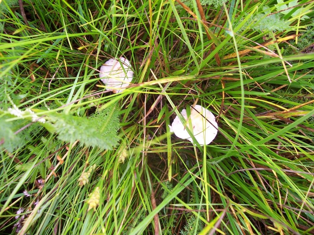 100_2522.JPG