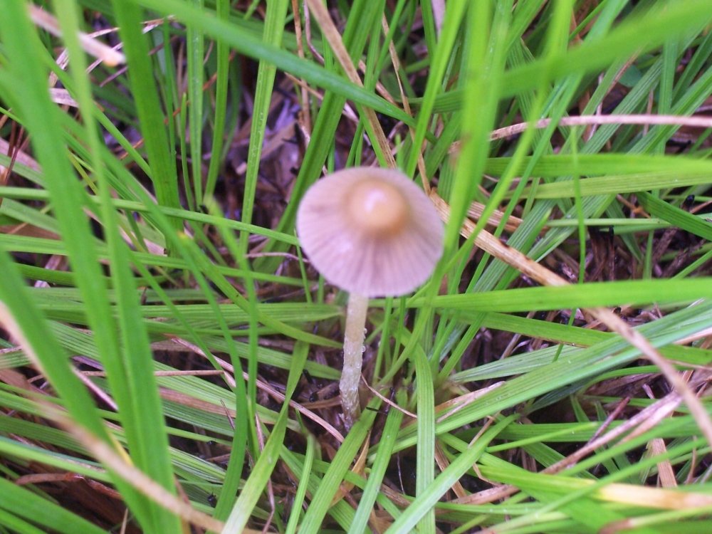 100_2524.JPG