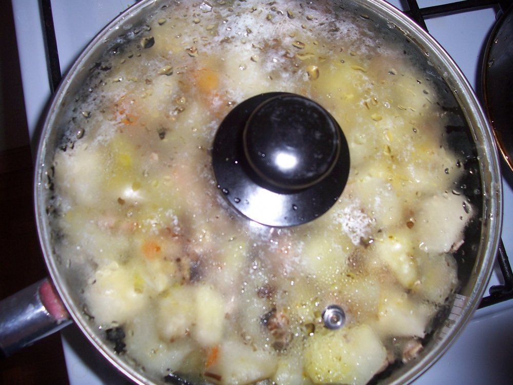 100_2535.JPG