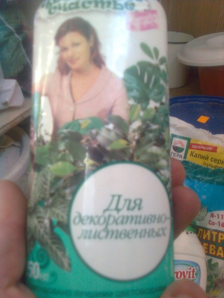 post-11544-0-16766400-1345630000_thumb.jpg