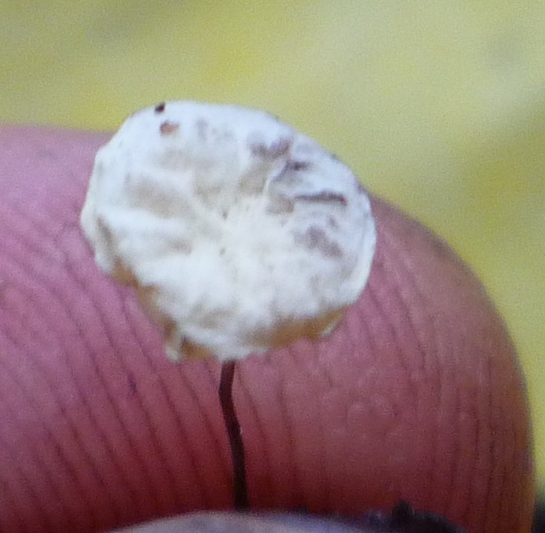 post-12221-0-59545800-1346299562_thumb.jpg
