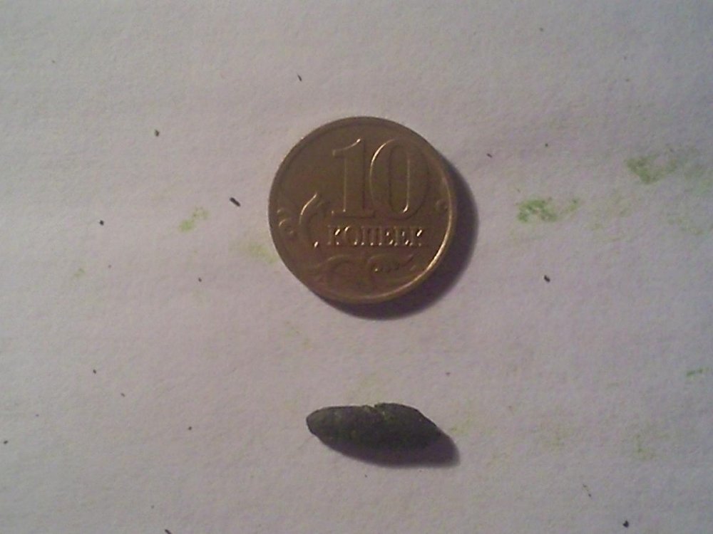post-14441-0-24977300-1376590170_thumb.jpg