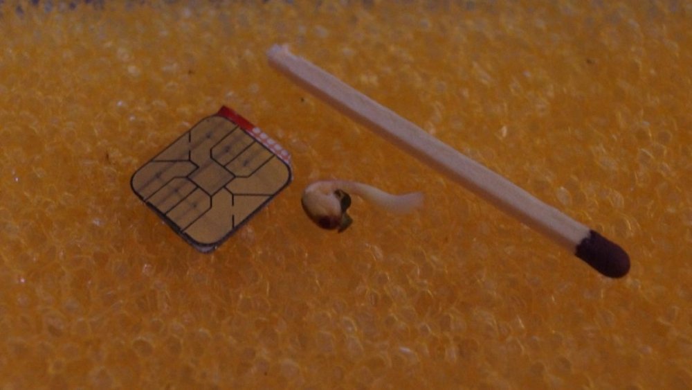 post-16718-0-55746400-1377604279_thumb.jpg