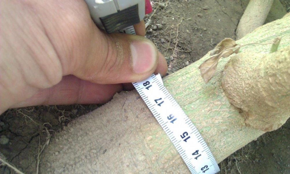 post-22199-0-89124600-1407007193_thumb.jpg