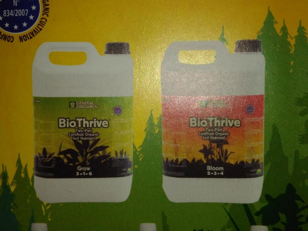 post-25148-0-26661900-1440172641_thumb.jpg