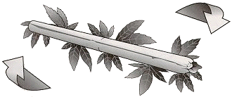image049.gif