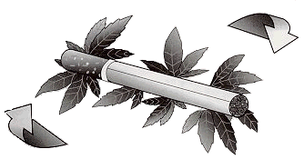 image029.gif
