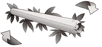 image021.gif