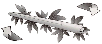 image012.gif