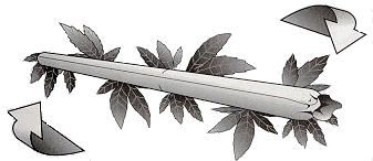 image017.gif