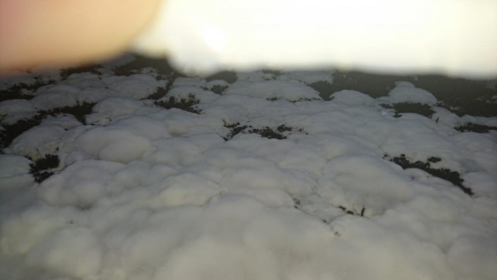 post-12490-0-87764600-1471703846_thumb.jpg