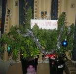IMG_0374.jpg