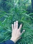 post-935-1283361242,4729_thumb.jpg