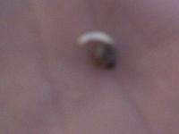post-2870-1316245485,3601_thumb.jpg