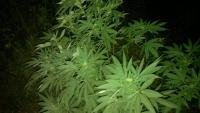 post-4289-1317420099,643_thumb.jpg