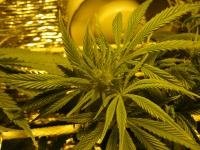 post-6448-1316338591,9034_thumb.jpg