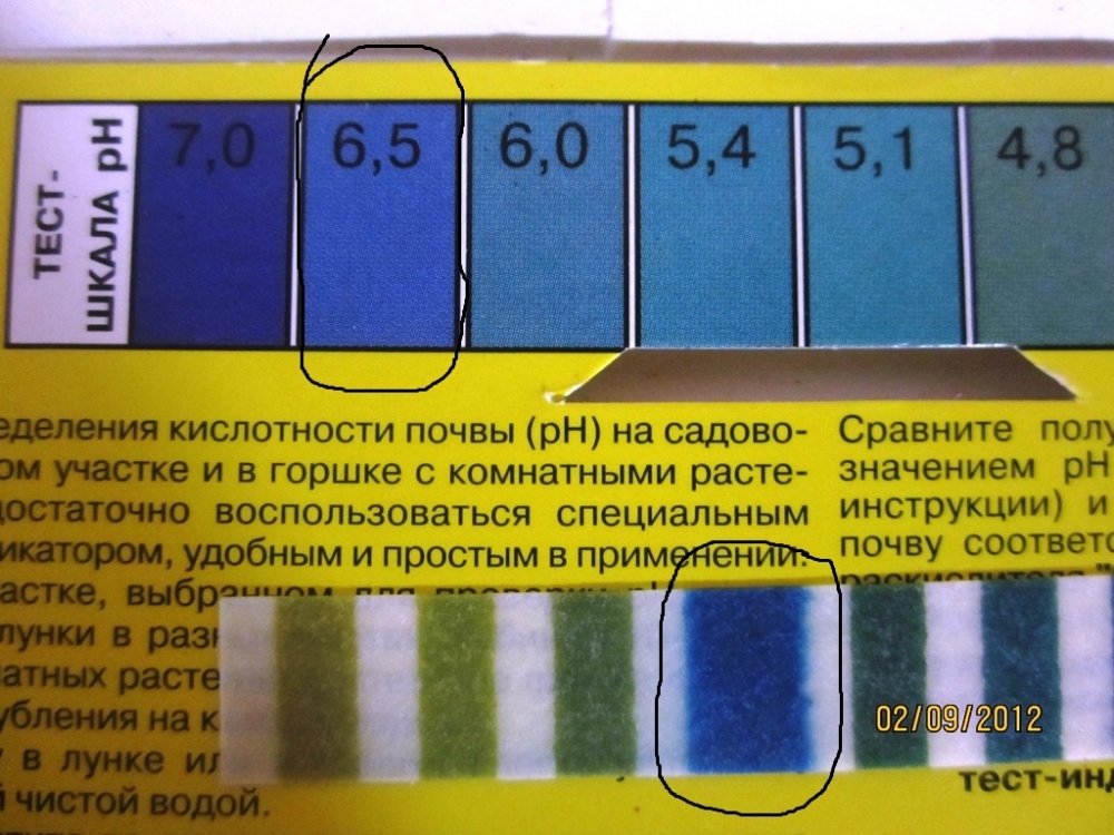 post-12371-0-21645900-1346581216_thumb.jpg