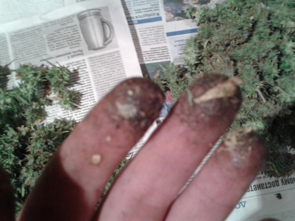 post-5402-0-42822400-1348067174_thumb.jpg