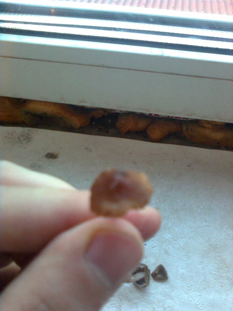 post-17631-0-18030600-1378619027_thumb.jpg