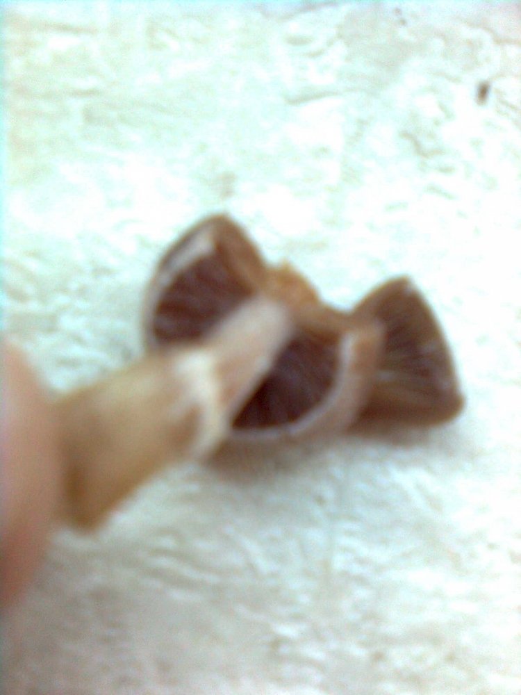 post-17631-0-68823500-1378619022_thumb.jpg