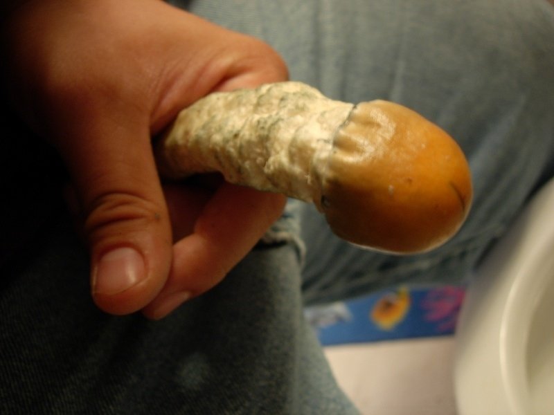 post-30945-0-34696800-1443555557_thumb.jpg