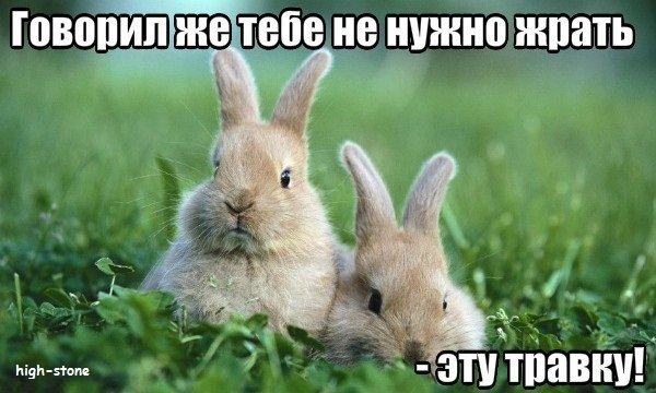 post-25888-0-41839200-1474447407_thumb.jpg