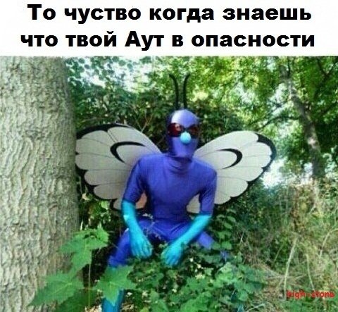 post-25888-0-63345000-1473677977_thumb.jpg