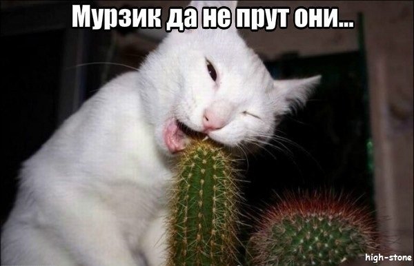 post-25888-0-93780600-1474455181_thumb.jpg
