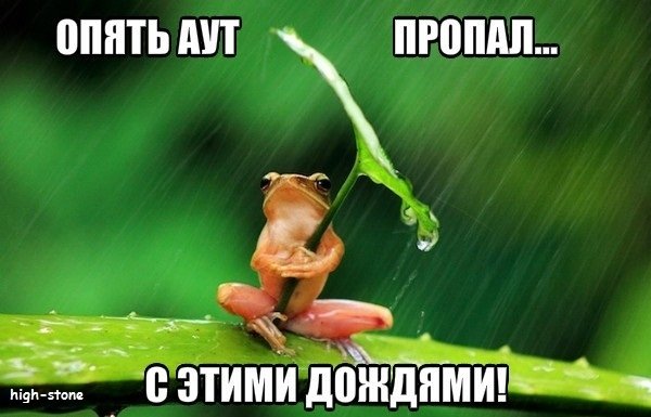 post-25888-0-94851500-1474453779_thumb.jpg