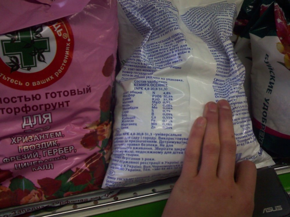 post-1301-1255647813_thumb.jpg