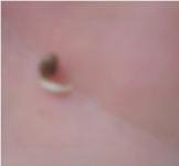 post-3154-1286200990,6544_thumb.jpg