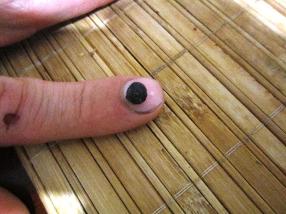 post-10530-0-02538200-1349901313_thumb.jpg