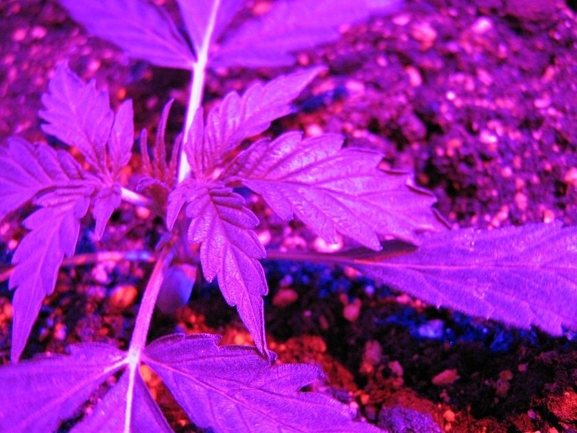 post-11478-0-44150500-1351020129_thumb.jpg
