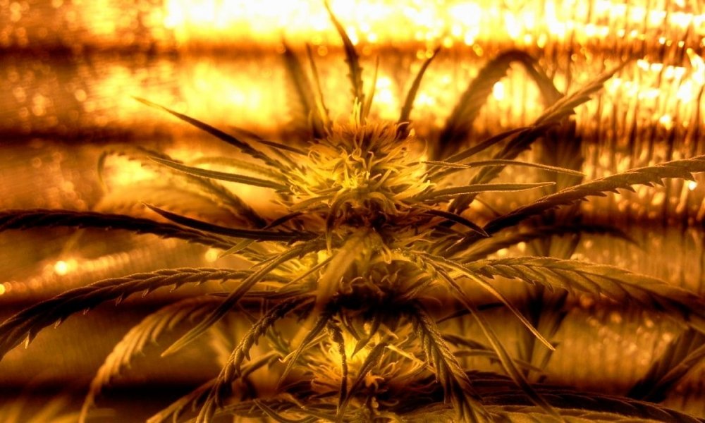 post-11979-0-83540300-1350802169_thumb.jpg
