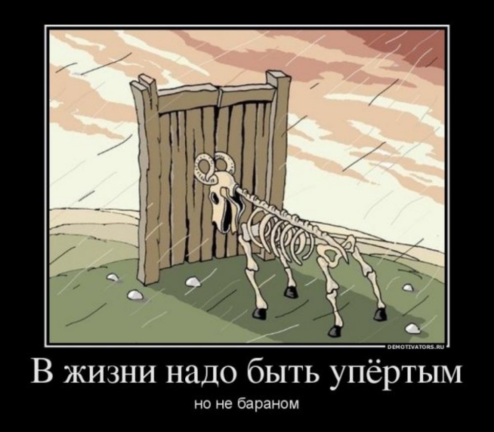 post-15437-0-40086800-1383117854_thumb.jpg