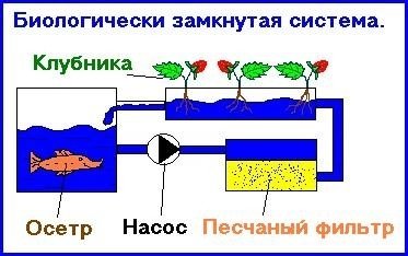 post-17980-0-31262000-1382091541_thumb.jpg