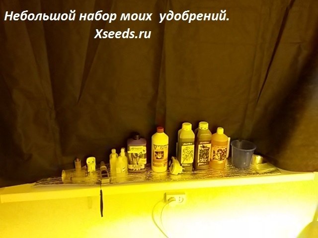 post-19956-0-38708200-1412579601_thumb.jpg