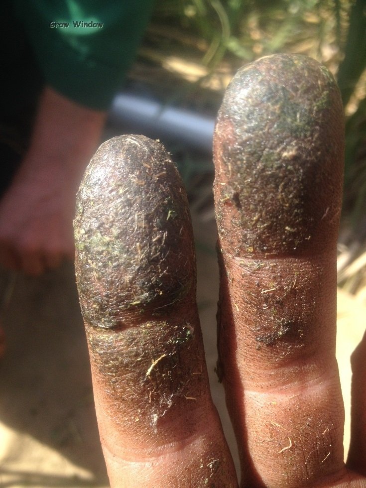 post-2109-0-28477400-1413108035_thumb.jpg