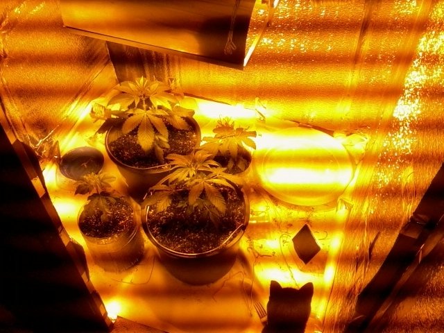 post-22115-0-92381900-1414334906_thumb.jpg