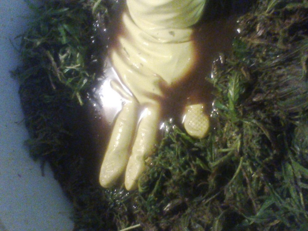 post-15695-0-05483400-1444067683_thumb.jpg