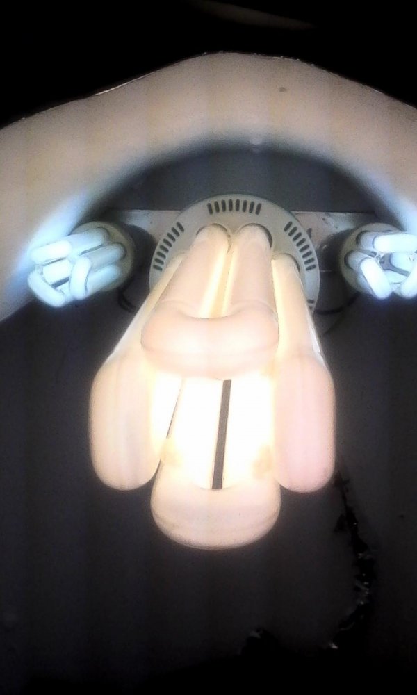 post-25643-0-11632700-1444887528_thumb.jpg