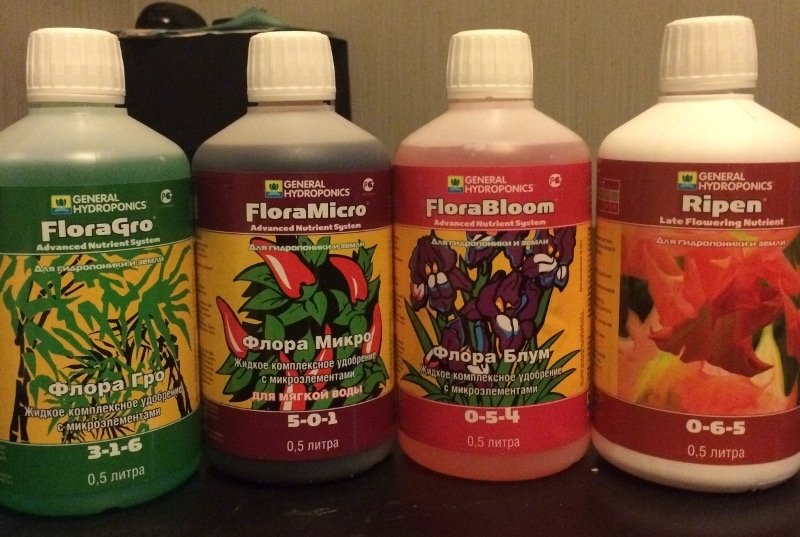 post-30715-0-38314700-1445888690_thumb.jpg
