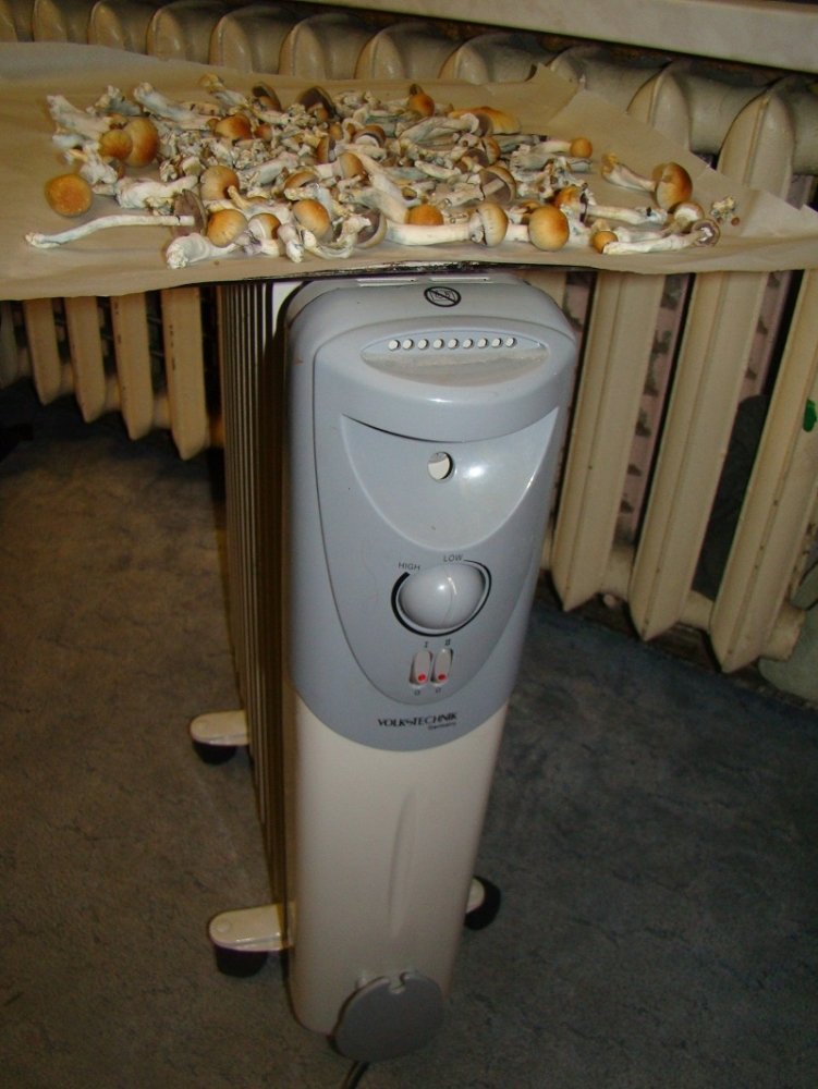 post-30945-0-38484700-1443956247_thumb.jpg