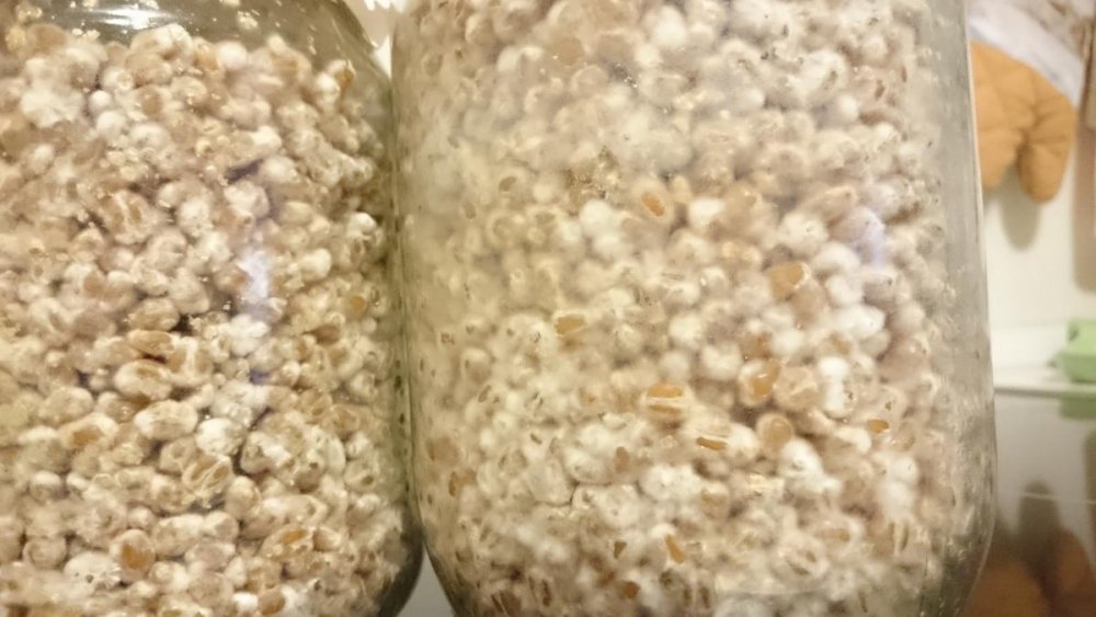 post-36370-0-38723600-1476789309_thumb.jpg