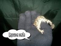 post-2568-1321284849,5983_thumb.jpg